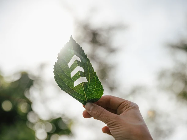 WanderImpulse Eine Hand hält ein grünes Blatt, durch das Sonnenlicht scheint, im Hintergrund Natur.