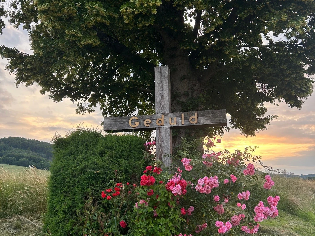 Schönes Holzkreuz unter einem Baum mit Bepflanzung
