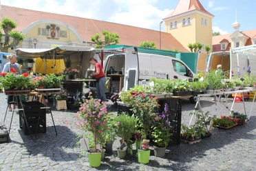 Ein belebter Blumenmarkt auf einem historischen Platz mit Ständen voller bunter Pflanzen und Blumen.