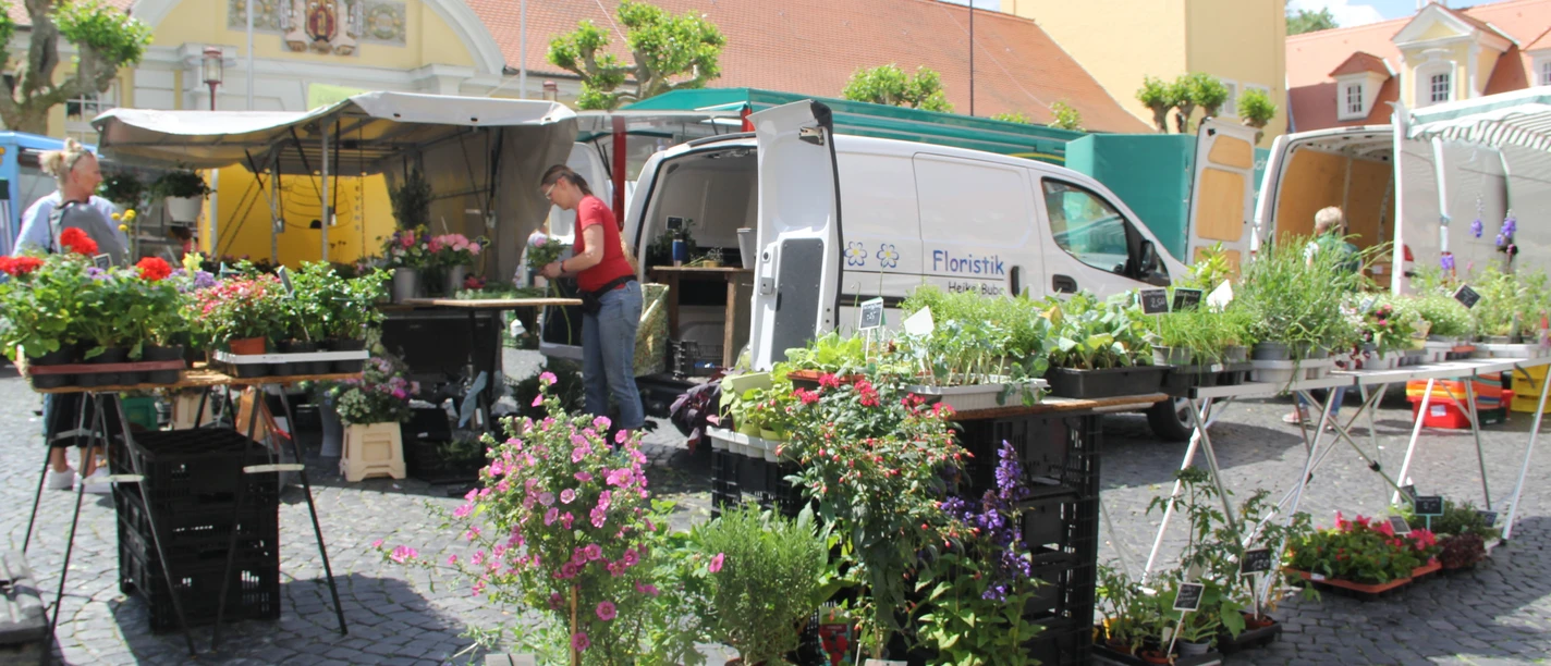 Ein belebter Blumenmarkt auf einem historischen Platz mit Ständen voller bunter Pflanzen und Blumen.