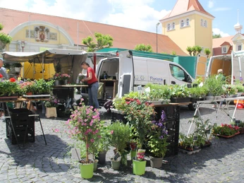 IMG_0133.JPG Ein belebter Blumenmarkt auf einem historischen Platz mit Ständen voller bunter Pflanzen und Blumen.