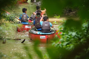 Kanufahren mit Rio Negro - Olaf Brandmeyer 2.jpg Vier Kinder in roten Kanus paddeln durch einen dichten, grünen Flussabschnitt im Wald.