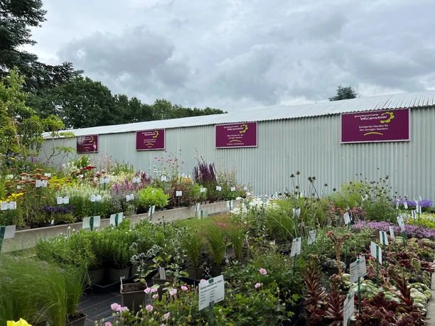 Bild2.jpg Ein blühendes Gartencenter unter grauem Himmel. Farbvolle Pflanzen und Blumen reihen sich vor einem Metallgebäude.