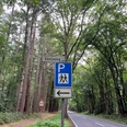 Kötnjeweg1.jpg Ein blaues Verkehrsschild zeigt einen Parkplatz an, umgeben von einem Wald am Kötnjeweg.