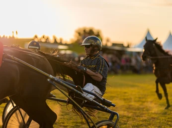 Pferderennen-Hooksiel_ Jockey.jpg