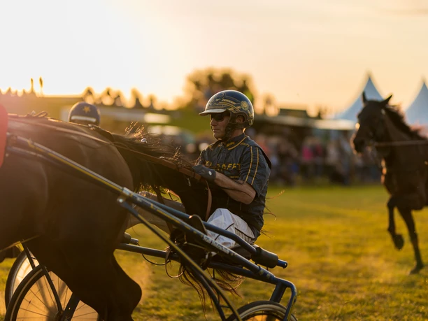 Pferderennen-Hooksiel_ Jockey.jpg