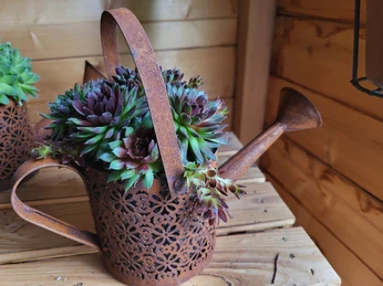 Agrokulturen Buholzer_Produkte.jpg