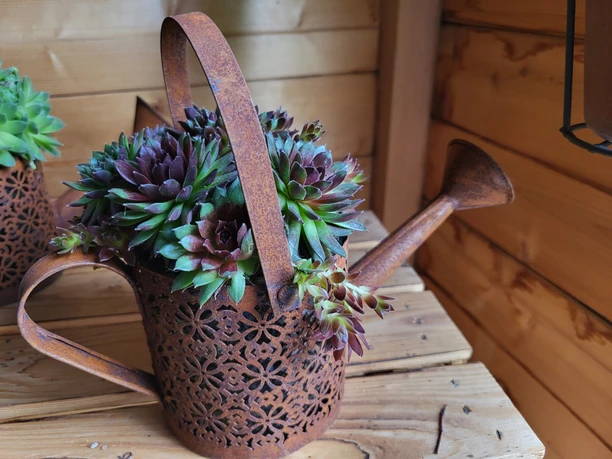 Agrokulturen Buholzer_Produkte.jpg