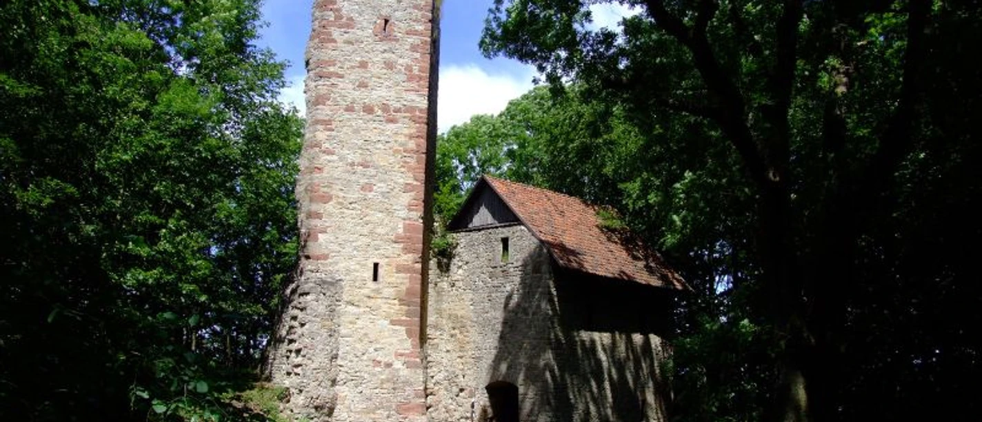P13_Boyneburg__c_Marco_Lenarduzzi.jpg P13_Boyneburg__c_Marco_Lenarduzzi.jpg