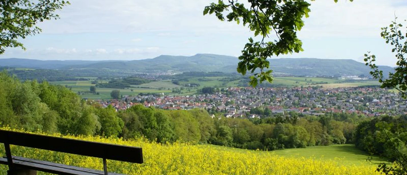 P19_Blick_vom_Spitzenberg__c_Andrea_Imhaeuser.jpg