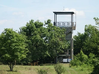 Point_India__c_Marco_Lenarduzzi.jpg