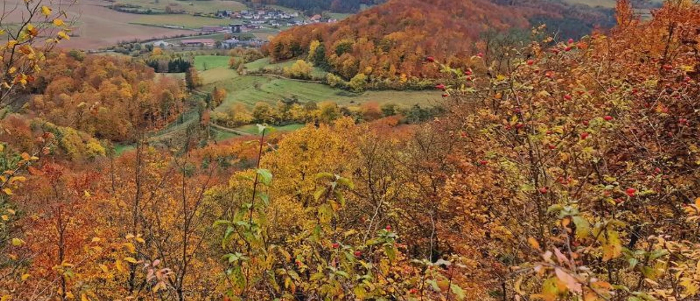 P26_Blick_vom_Holstein__c_Pascal_Gimbel.jpg