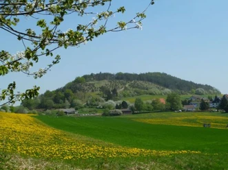 GS2-Kindelberg__c_Anja_Laun.jpg