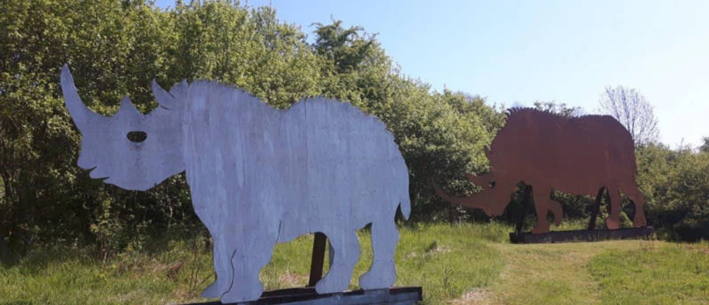 Panoramaweg_Oberhone_c_Susanne_Pfingst.jpg