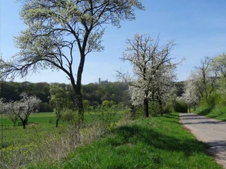 Kirschenradweg.jpg