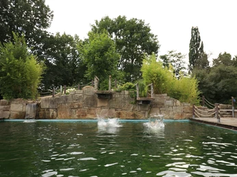 _MG_3527.JPG Drei große Wasserspritzer im Teich vor einer steinernen Plattform mit üppigem Grün und Bäumen.Three large splashes of water in the pond in front of a stone platform with lush greenery and trees.Tre store vandsprøjt i dammen foran en stenplatform med frodigt grønt og træer.Drie grote plassen water in de vijver voor een stenen platform met weelderig groen en bomen.
