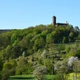 Burg_Ludwigstein_c_Susanne_Pfingst.jpg