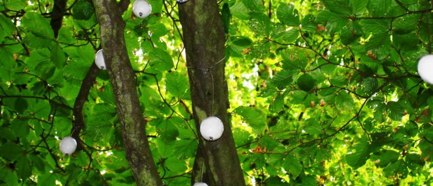 Federn_im_Wind_-_Carola_Lantermann_c_Ars_Natura_Stiftung.jpg