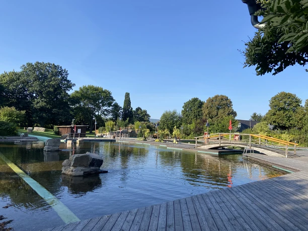 IMG_5788 4.jpeg Ein weitläufiger Park mit Teich, Holzsteg und Brücken, umgeben von vielfältigen grünen Bäumen.