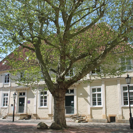 Professorenhaus & TPZ in Lingen (Ems) am Universitätsplatz ©Emsland Tourismus GmbH.jpg Historisches Gebäude mit rotem Ziegeldach und großem Baum auf gepflastertem Platz bei Sonnenschein.