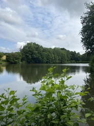 POI_0_Titelfoto1evt.JPG Ein ruhiger See mit dichten Bäumen im Hintergrund, teils bewölkter Himmel und Uferpflanzen vorn.