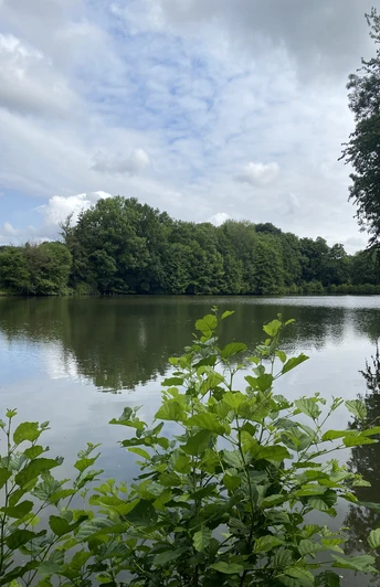 POI_0_Titelfoto1evt.JPG Ein ruhiger See mit dichten Bäumen im Hintergrund, teils bewölkter Himmel und Uferpflanzen vorn.