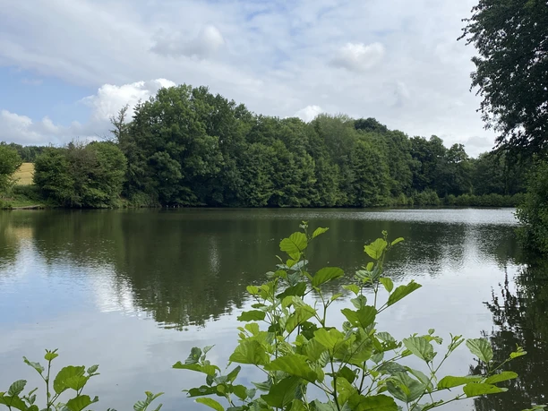 POI_0_Titelfoto1evt.JPG Ein ruhiger See mit dichten Bäumen im Hintergrund, teils bewölkter Himmel und Uferpflanzen vorn.