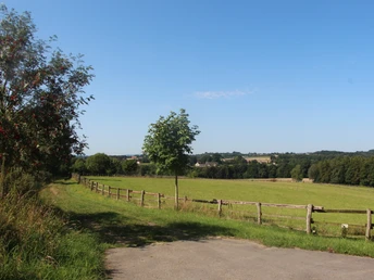Grüne Wiesen und ein Feldweg unter blauem Himmel, links ein Baum und ein Holzzaun auf dem Land.