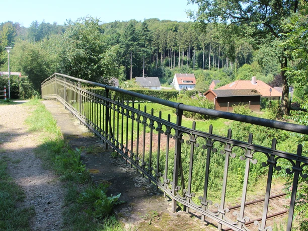 POI_0_Titelbild4.JPG Alte Eisenbahnbrücke mit historischem Geländer führt über üppig grüne Vegetation, Wald im Hintergrund.