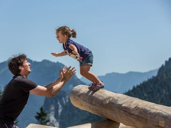 Kolbensattel Spielplatz Sprung von Baumstamm