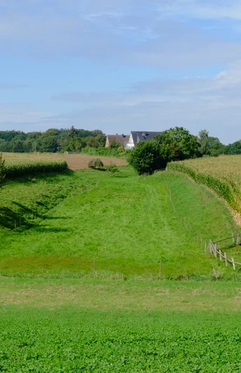 POI-00-Siektal.jpg Grüne Wiesen mit Kühen neben Maisfeldern und Obstbäumen, umgeben von sanften Hügeln und bewölktem Himmel.