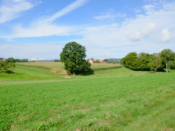 Weite grüne Wiesen mit vereinzelten Bäumen und einem kleinen Gehöft unter blauem Himmel mit Wolken.