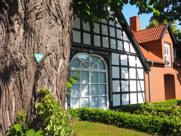 Heimatstube Südhemmern Ein Fachwerkhaus mit rotgedecktem Nebengebäude hinter einem markanten Baum an einem sonnigen Tag.