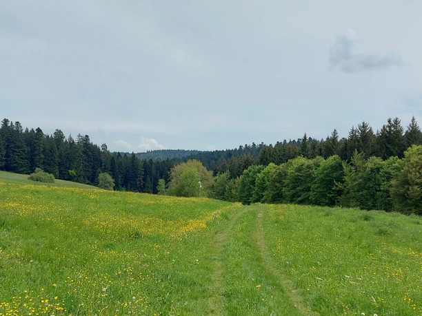 Gäurandweg Richtung Lautermühle
