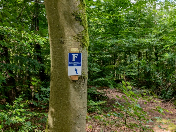 Geheimnisvoller Sebbel