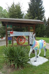 Campingplatz Northeim Nord_Zebra