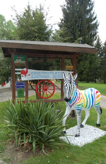 Campingplatz Northeim Nord_Zebra