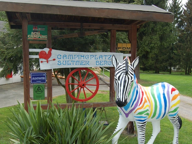 Campingplatz Northeim Nord_Zebra