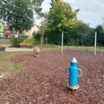 Ein moderner Spielplatz mit zahlreichen Klettermöglichkeiten, umgeben von grüner Natur.