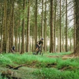 Gravelbiken fahren Singletrail