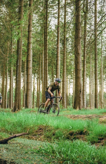 Gravelbiken fahren Singletrail