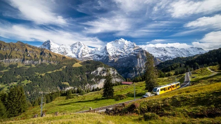 zug-winteregg-muerren-sommer-flora-aussicht-bergwelt.jpg