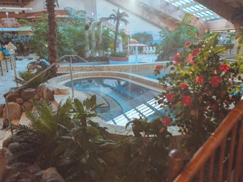 H2O Freizeitbad - Freizeiteinrichtungen Stadtwerke Herford GmbH (7).jpg Innenbereich eines Erlebnisbades mit tropischen Pflanzen, einem Whirlpool und Sonnenliegen im Hintergrund.