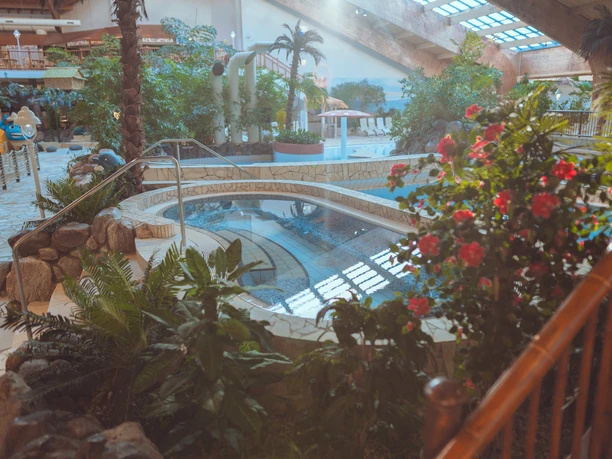 H2O Freizeitbad - Freizeiteinrichtungen Stadtwerke Herford GmbH (7).jpg Innenbereich eines Erlebnisbades mit tropischen Pflanzen, einem Whirlpool und Sonnenliegen im Hintergrund.