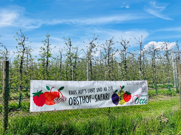 Obsthof Otte Infobanner.jpg Banner eines Obsthofs bewirbt eine "Obsthof-Safari" vor einer Obstplantage, umrahmt von blauem Himmel.