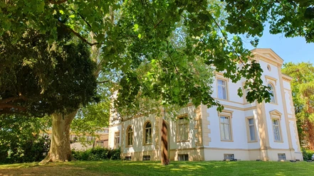 Museum Wallansicht mit Platane.jpg Ein historische Gebäude mit weißer Fassade, flankiert von einer großen Platane auf einer grünen Wiese.