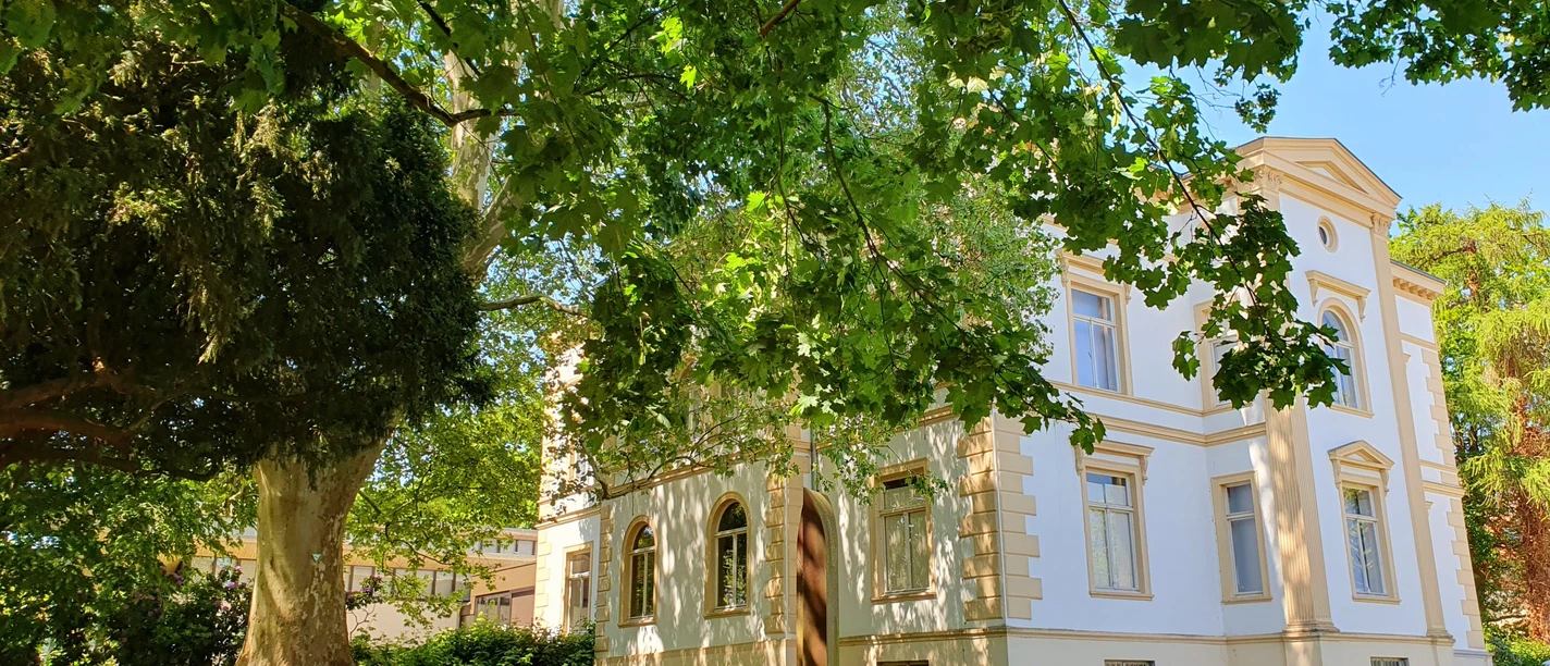 Museum Wallansicht mit Platane.jpg Ein historische Gebäude mit weißer Fassade, flankiert von einer großen Platane auf einer grünen Wiese.