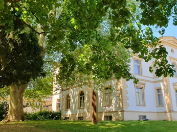 Museum Wallansicht mit Platane.jpg Ein historische Gebäude mit weißer Fassade, flankiert von einer großen Platane auf einer grünen Wiese.