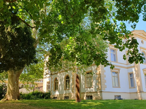 Museum Wallansicht mit Platane.jpg Ein historische Gebäude mit weißer Fassade, flankiert von einer großen Platane auf einer grünen Wiese.