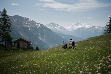 Mountainbiken im Sommer in der Aletsch Arena auf dem Enduro Riederalp Trail Mountainbiken im Sommer in der Aletsch Arena auf dem Enduro Riederalp Trail